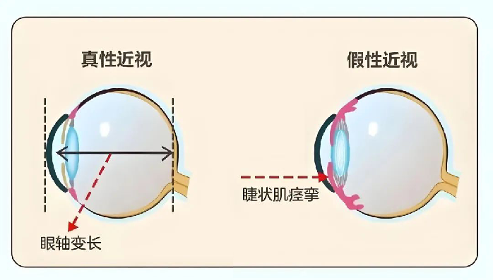 https://mmbiz.qpic.cn/sz_mmbiz_png/35Q7JmPav9COIK8k2qfTpJY7ic1n7ONdgWtibxfz7MHH0lafuc00iae3JsaPHJL1aFwbjQdHlSNH2duVfN3onVqng/640?wx_fmt=png&from=appmsg